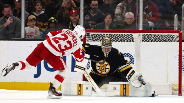 Boston Bruins goaltender Jeremy Swayman and Detroit Red Wings left wing Lucas Raymond