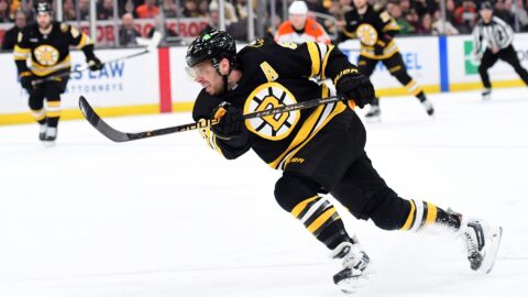 Boston Bruins right wing David Pastrnak