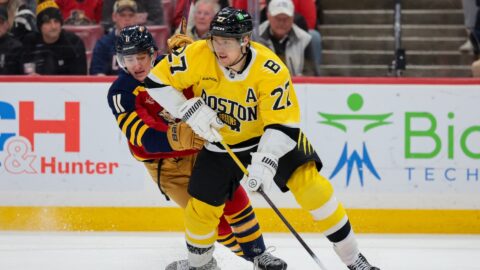 Boston Bruins forward Hampus Lindholm