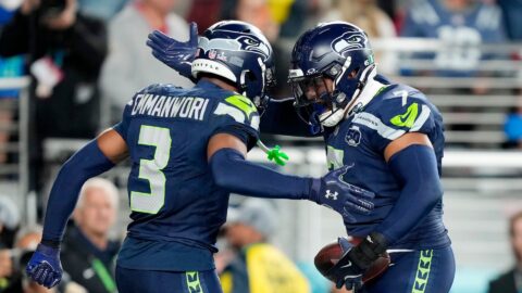 Seattle Seahawks safety Nick Emmanwori