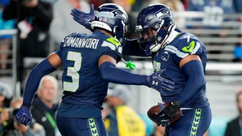 Seattle Seahawks safety Nick Emmanwori