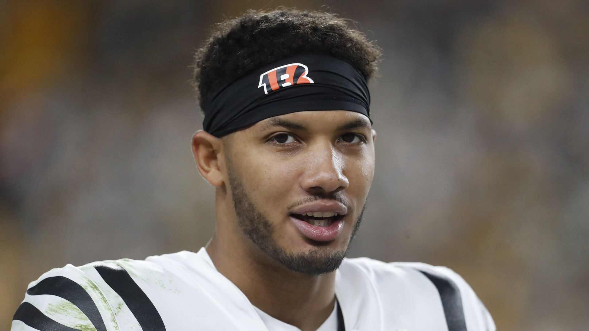 Former Bengals Wide Receiver Would 'Absolutely' Play For Steelers
